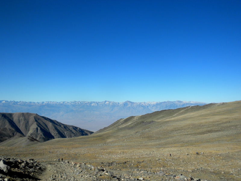 whitemountain92010 049.jpg